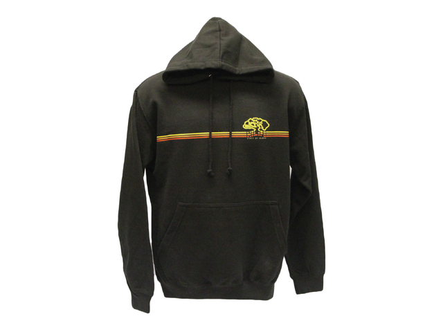 Zip Up Hoodie HILEELANG Toddler Boy Sweatshirts Grey Vehicles