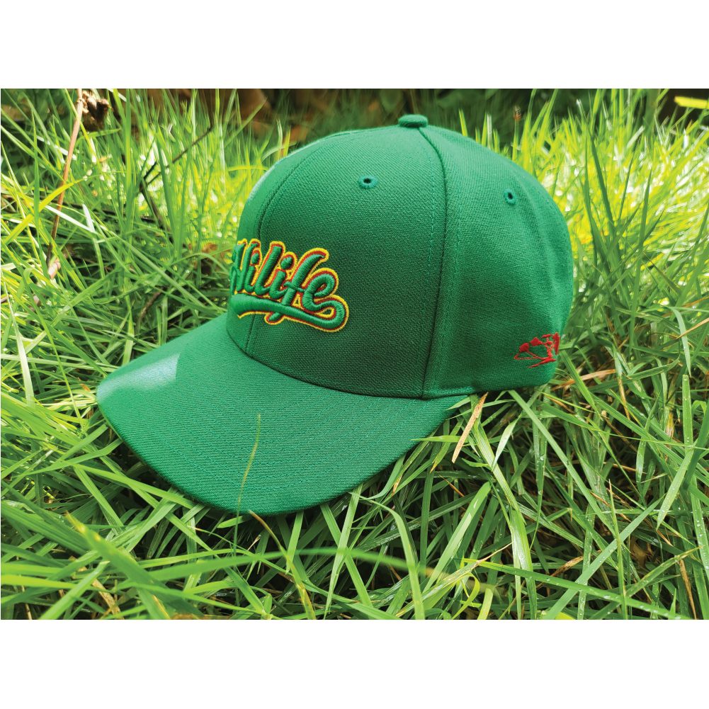 Baseball Cap Script HiLife Baseball Script Hat | HiLife Clothing