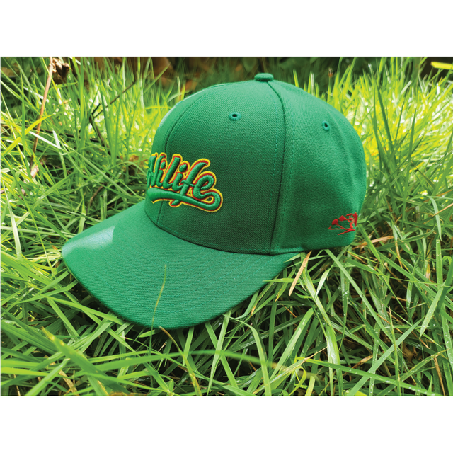 Kids Trucker Hats – HiLife Store