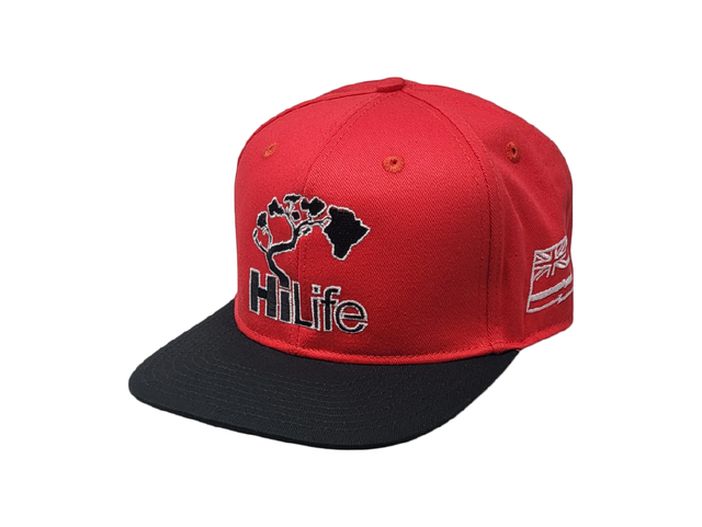 HILIFE 3D logo Snapback hats Black – HiLife Store